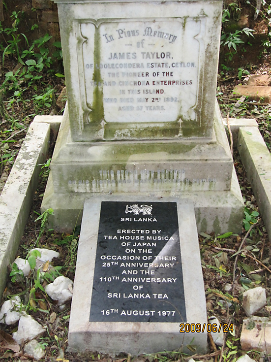 James Tailor の名前、ムジカ・ティー25周年、セイロン茶業110周年の文字が見える。